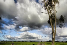 减肥梦碎，运动无望？揭秘懒人减脂新方法！(懒人减肥运动方法视频)