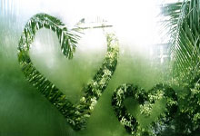 桑拿养生新风尚，茶香四溢爱上海龙凤(上海龙凤 足浴)