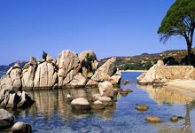 桑拿与茶香交融，上海人的健康养生之道(上海式桑拿)